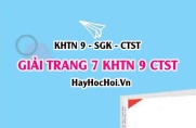 Giải KHTN 9 trang 7 Chân trời sáng tạo SGK